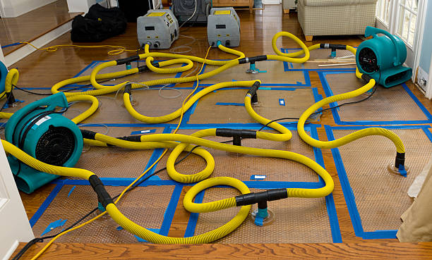Professional Crawl Space Water Removal technician working in Elmore, MN